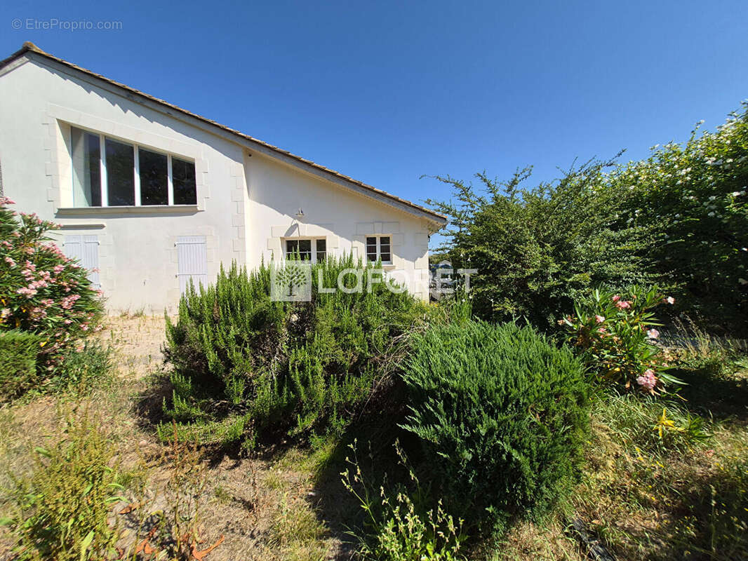 Maison d'habitation avec 2 gîtes au calme et garage - photo 13