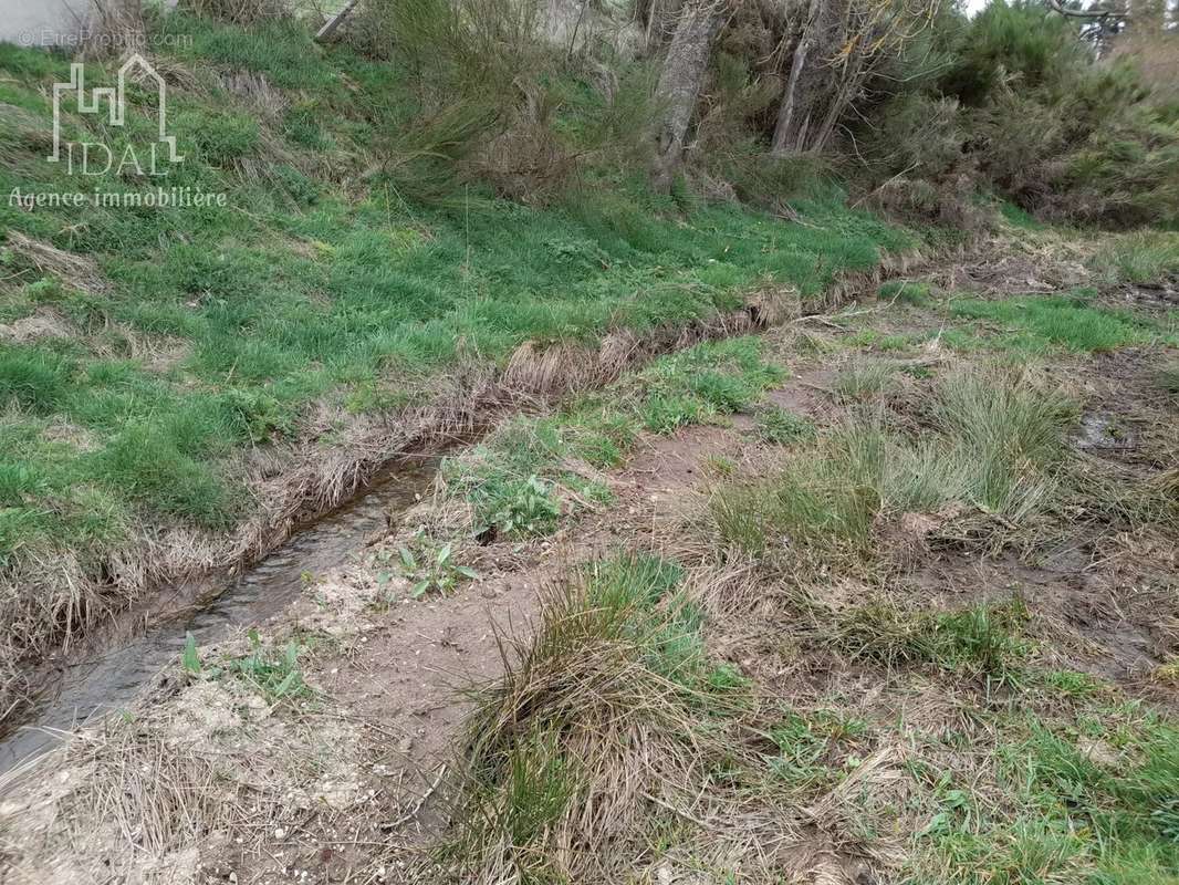 Terrain à LES LAUBIES