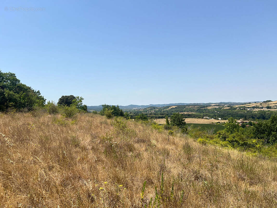 Terrain à bâtir Limoux 14700 m² - photo 11