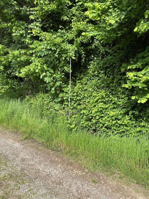 IMG_9313 - Commerce à LE VAL-D&#039;AJOL