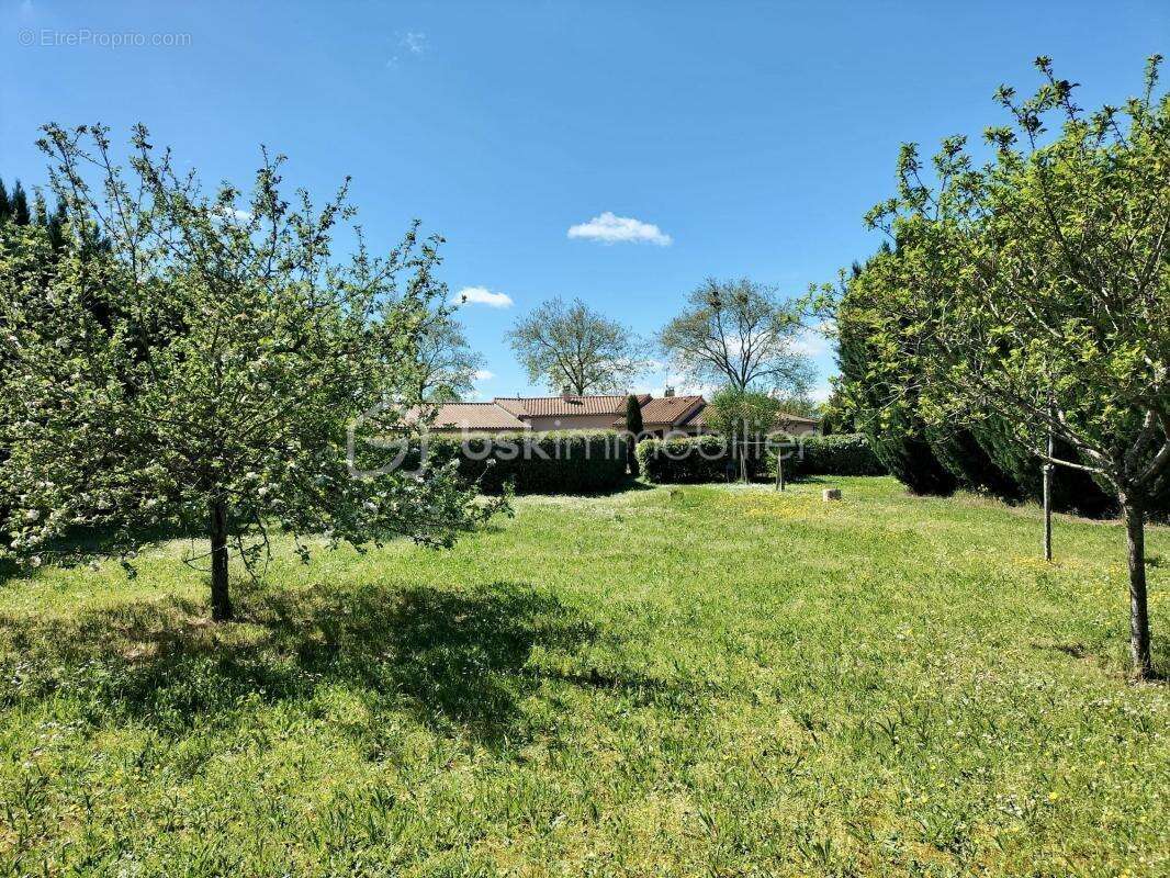 Charmante Demeure, 150m2,  plain pied, avec jardin, 4 chambres - photo 19