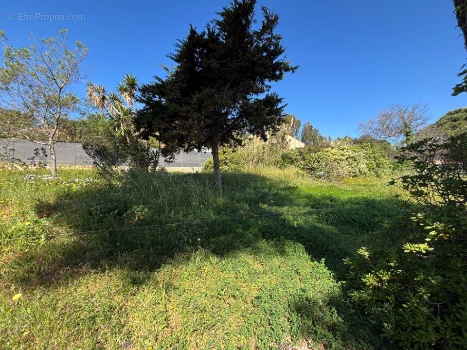 Terrain à HYERES