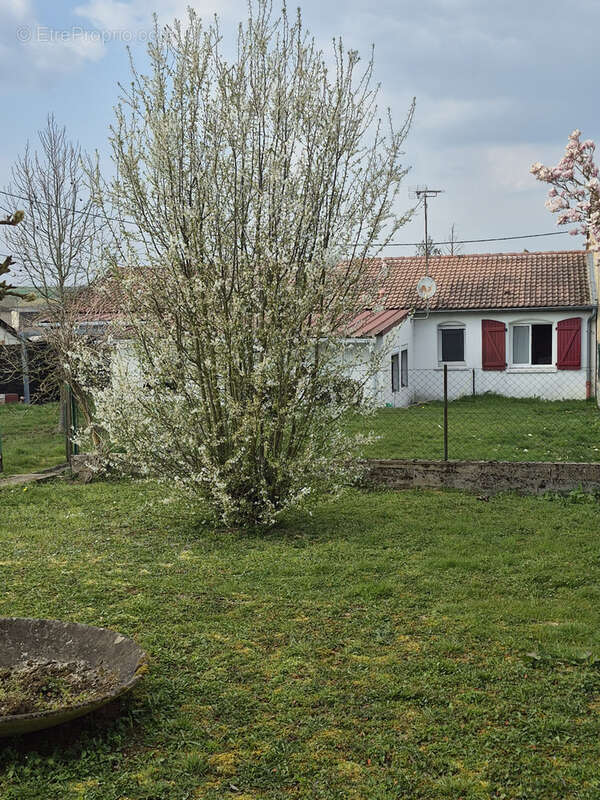 Maison à CHENICOURT