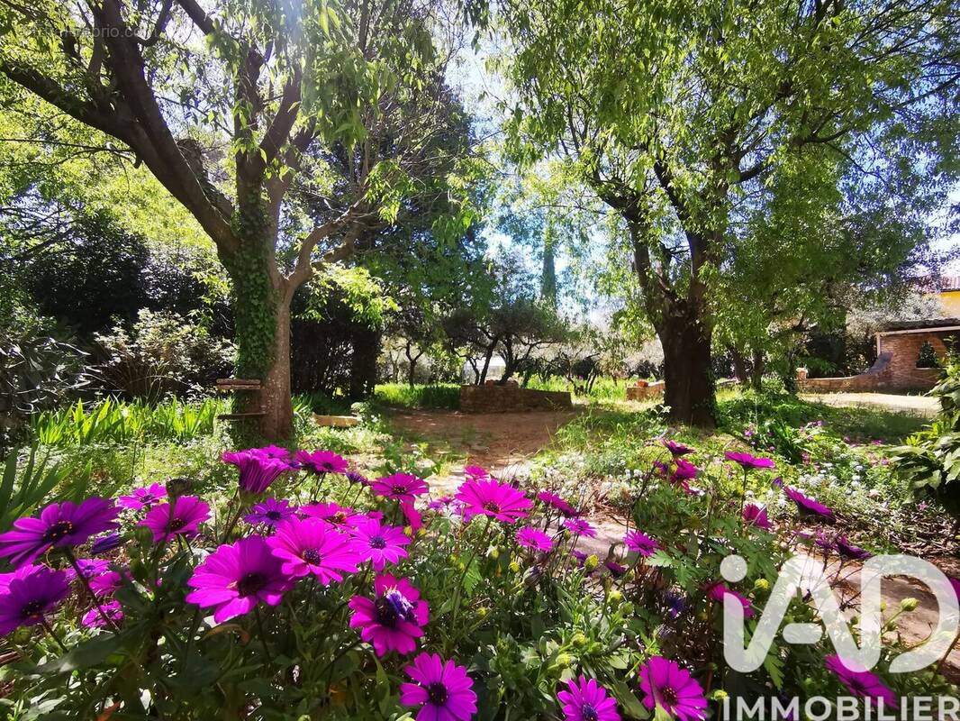 Photo 1 - Maison à NIMES