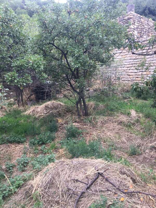 Maison à AYGUATEBIA-TALAU