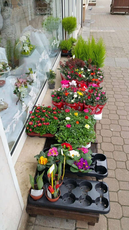 Commerce à VILLENEUVE-LE-ROI