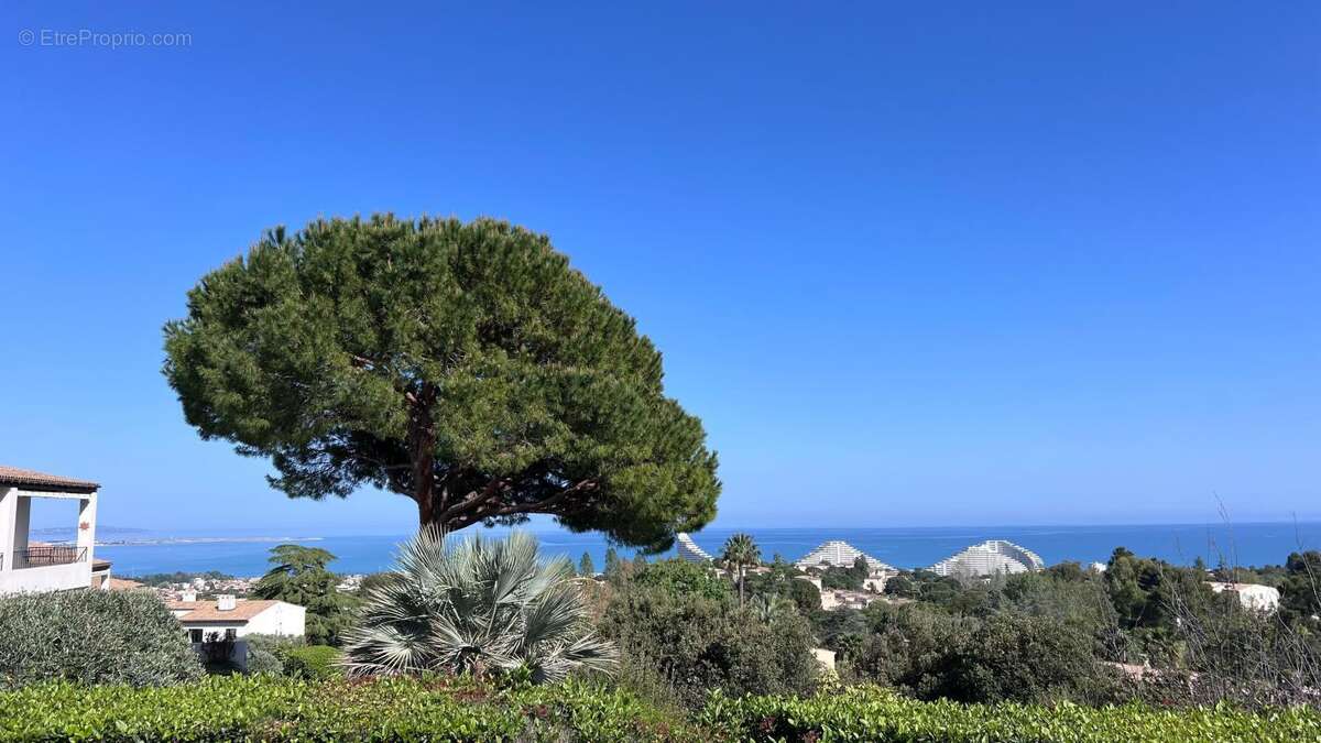 Maison à VILLENEUVE-LOUBET