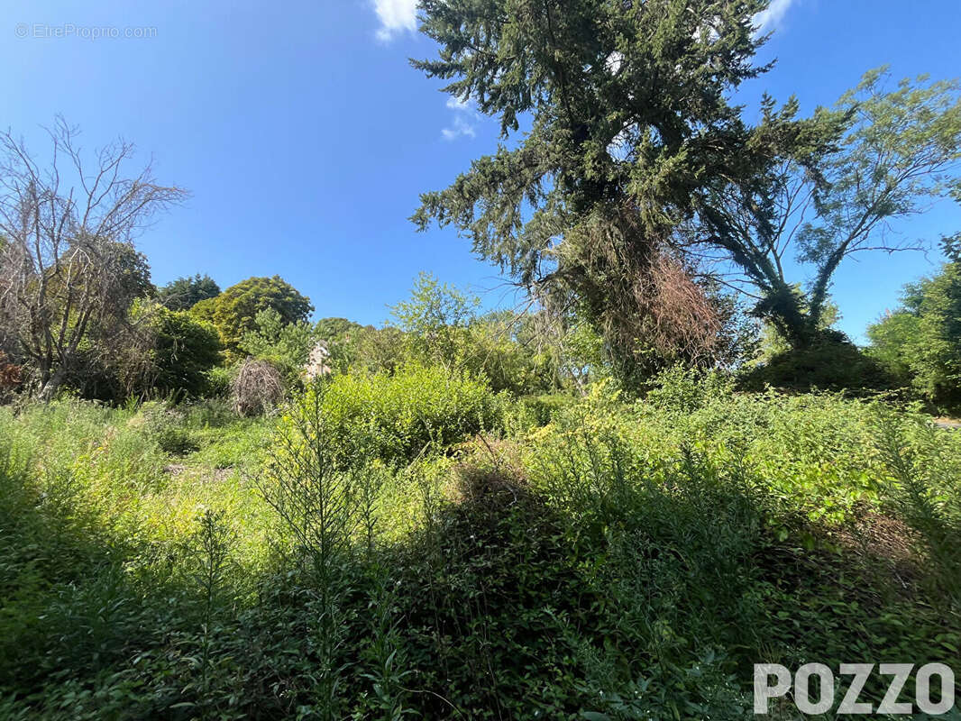 Terrain à bâtir de 909 m² - Équemauville - photo 2