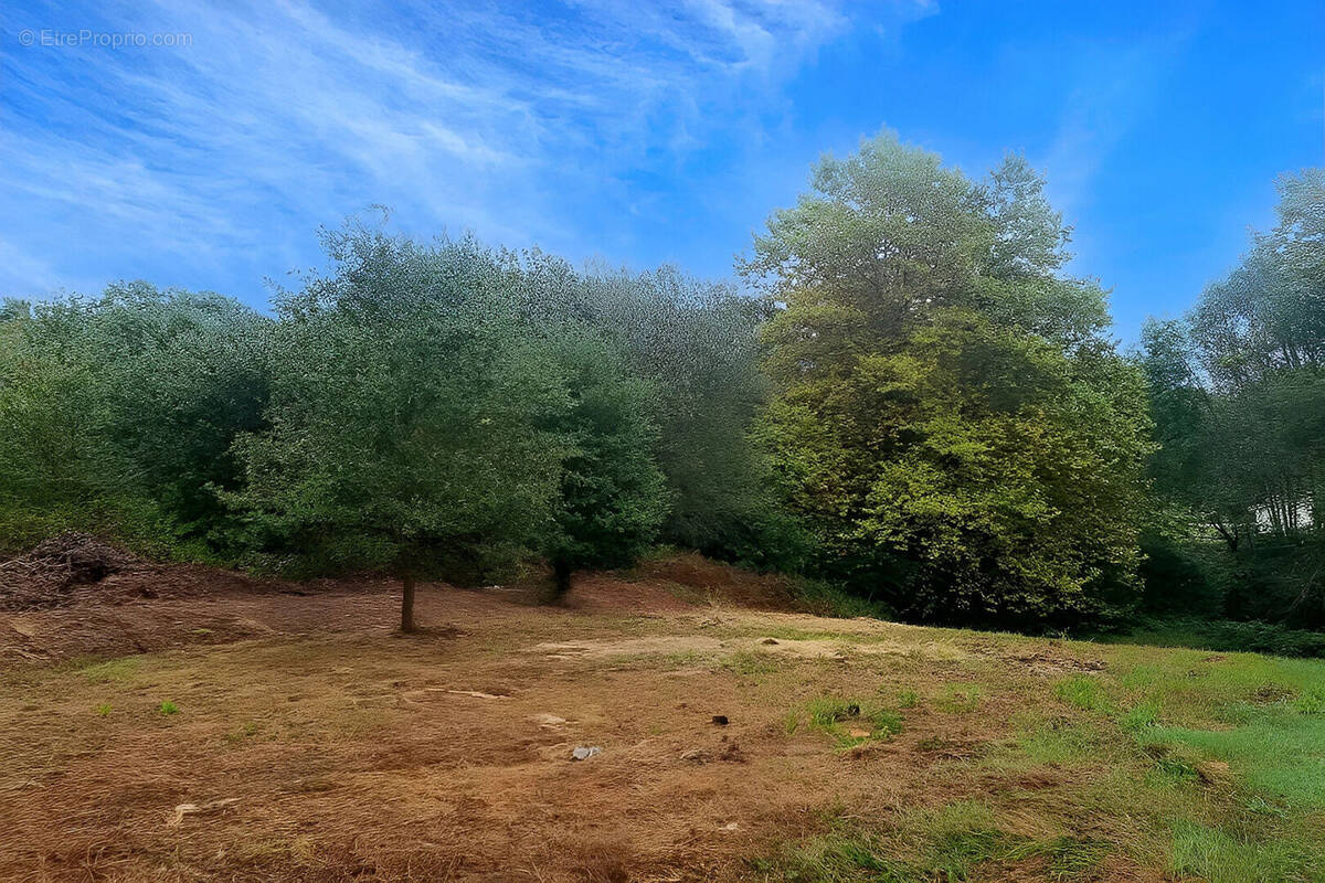 Terrain à SAINT-MARTIN-DE-HINX