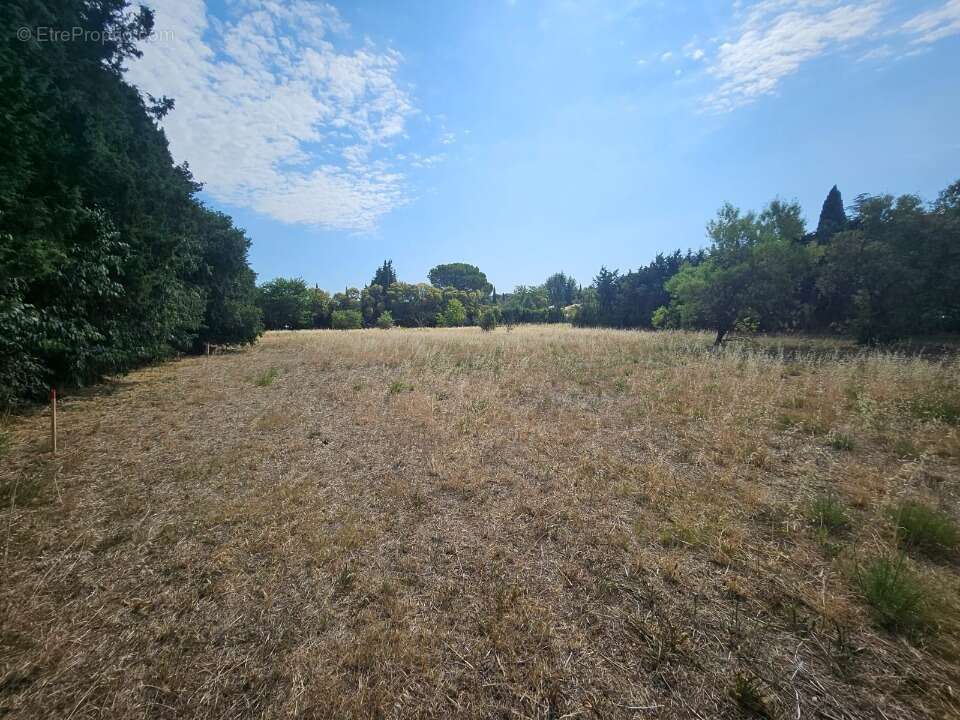 Terrain 780 m² à Fontvieille  - photo 2
