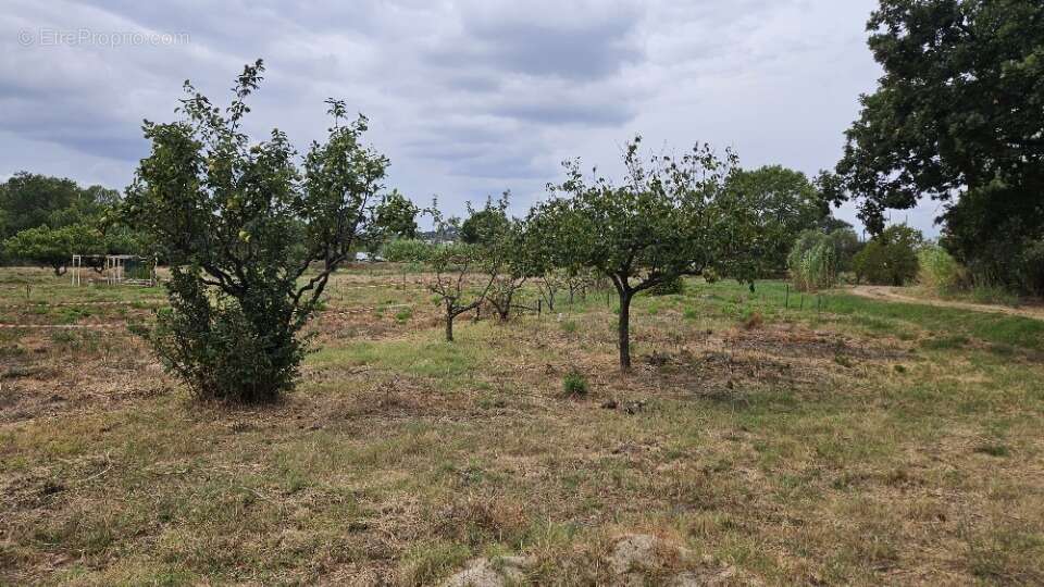 Terrain 503 m² à Frejus  - photo 2