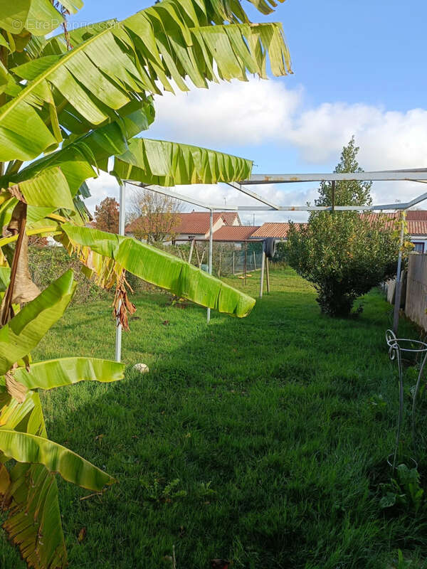 Maison à MESNARD-LA-BAROTIERE