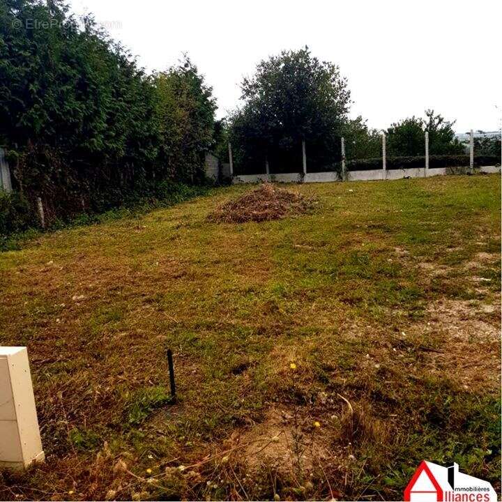 Photo 2 - Terrain à AILLY-SUR-SOMME