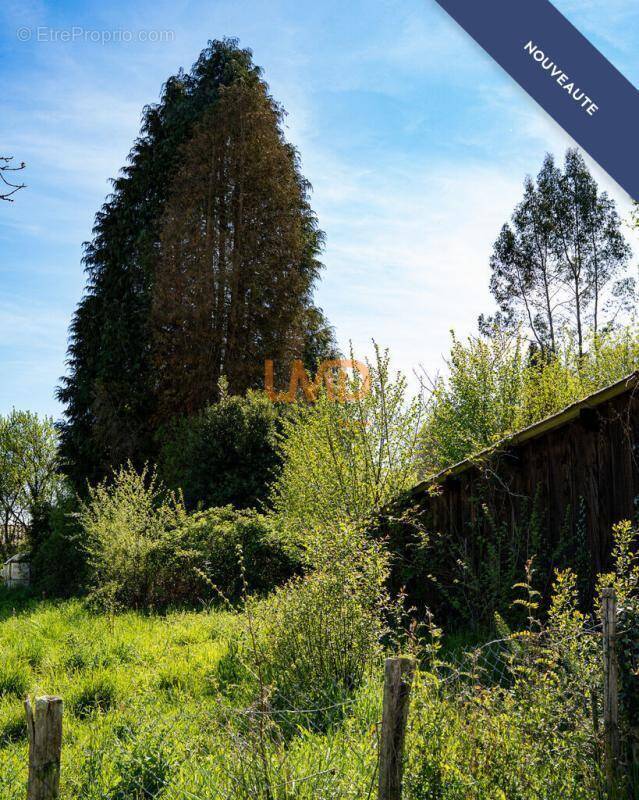 Terrain à SAINT-PAUL