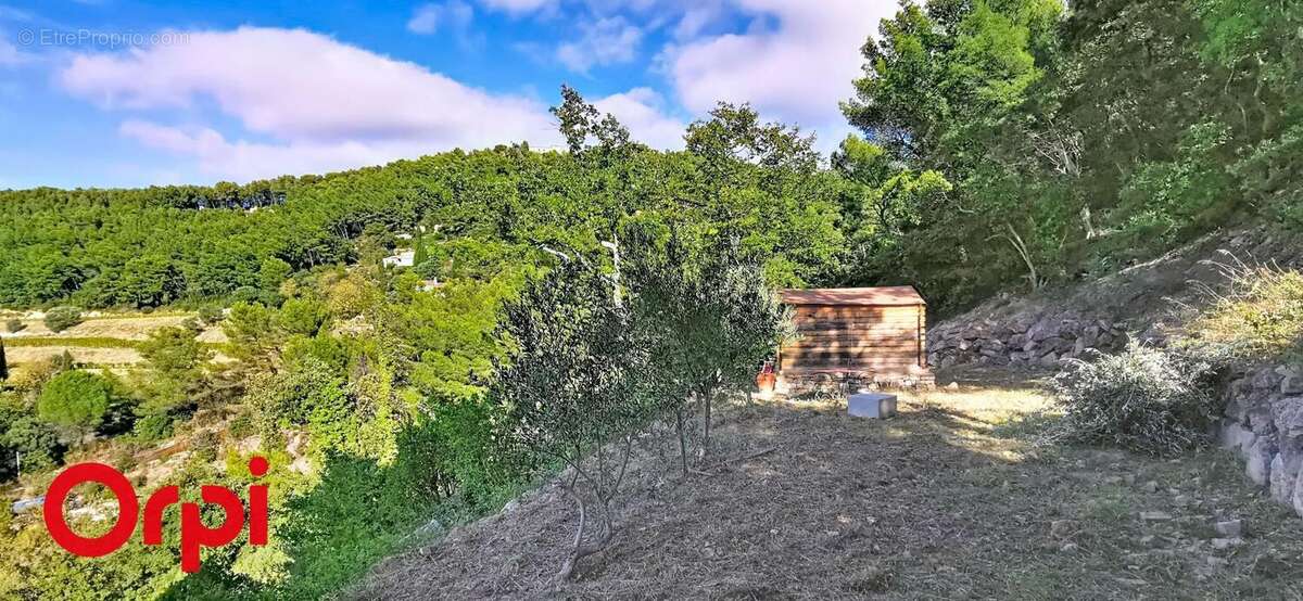 Terrain à LE BEAUSSET