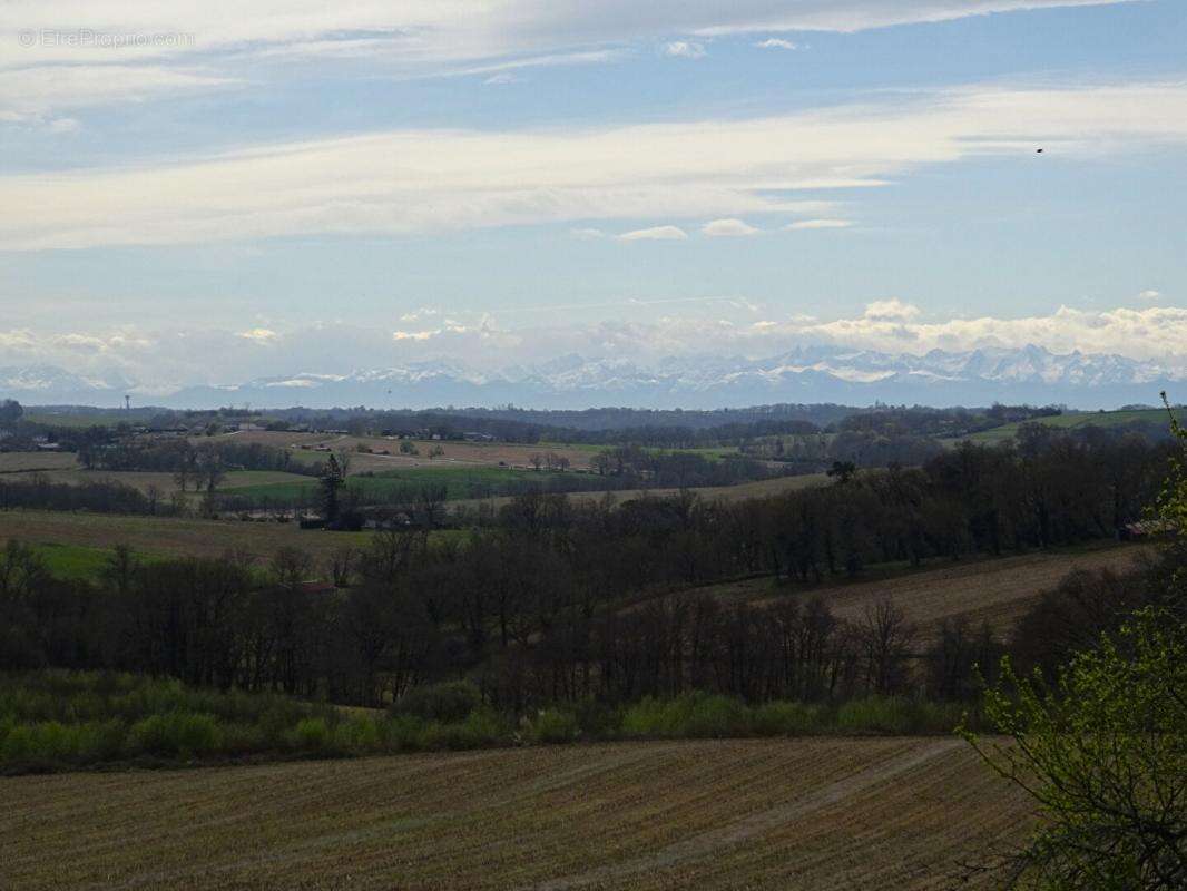 Landes 40250 Caupenne, propriété 21 ha avec habitation et dépendances - photo 3