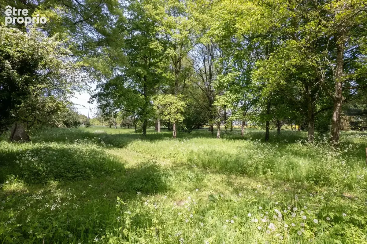 Logis avec parc boisé thurageau - photo 19