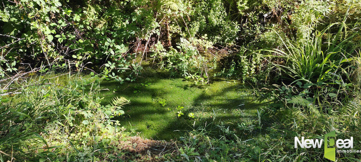 Proche Dordogne : corps de ferme sur 11 ha - Puits - Sources - Four à Pain - photo 11