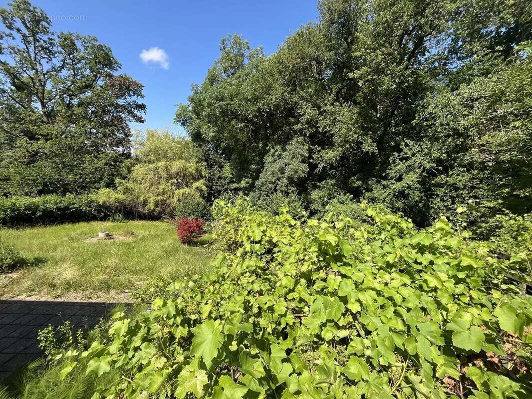 Maison à SALIES-DE-BEARN