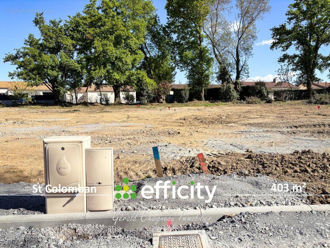 Terrain à SAINT-COLOMBAN
