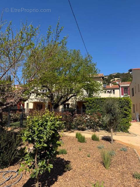 Appartement à COLLIOURE