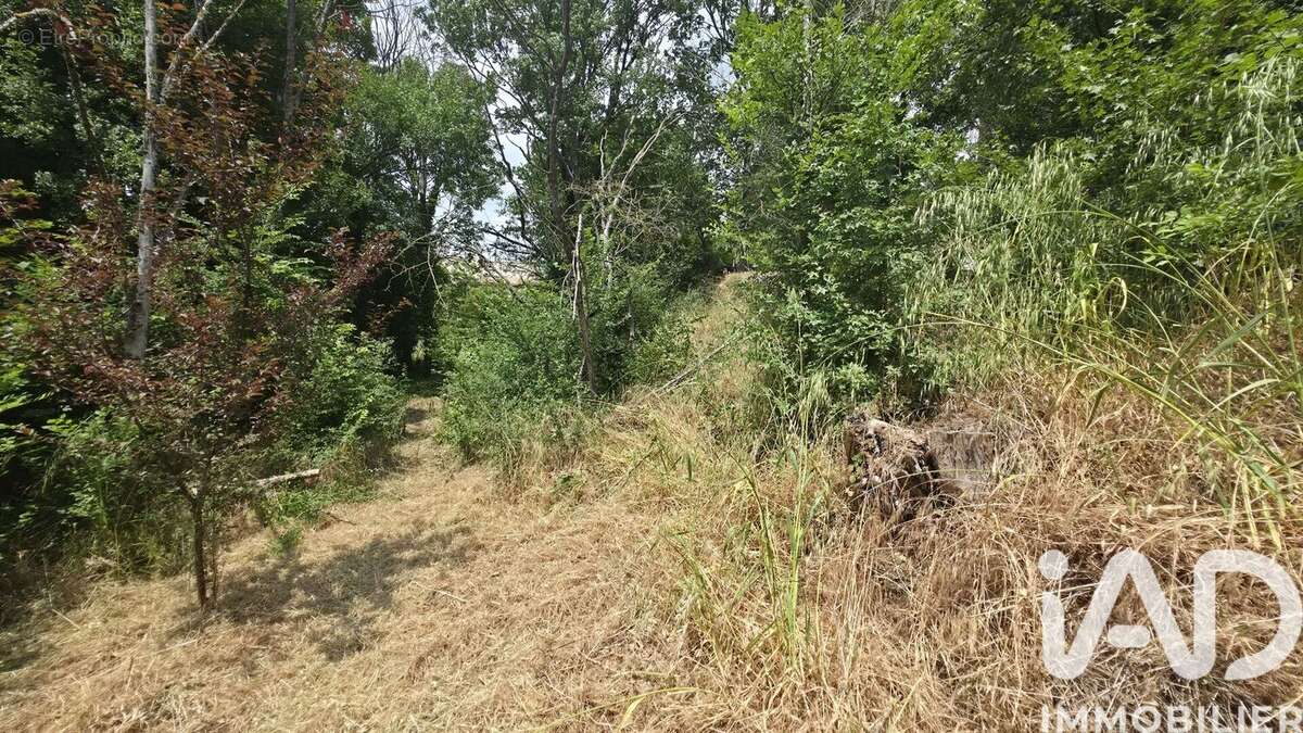 Photo 2 - Terrain à PLAN-D'AUPS-SAINTE-BAUME