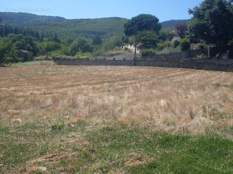 Terrain à LE BOUSQUET-D&#039;ORB