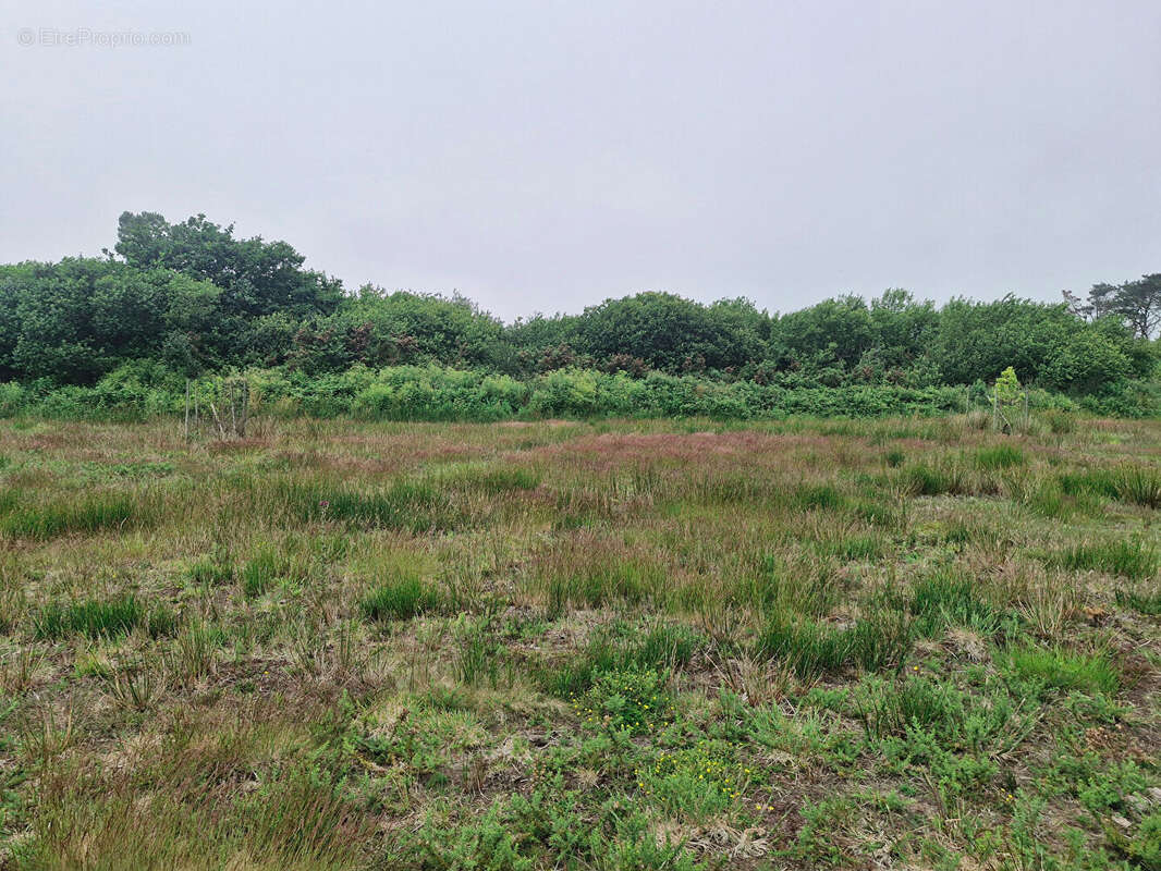 Terrain à LANDUNVEZ