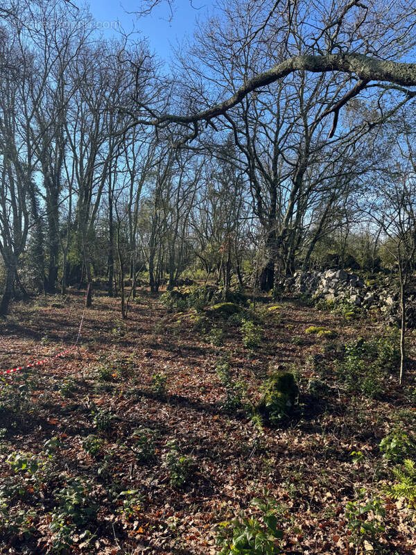 Terrain à SAINT-HIPPOLYTE-DU-FORT