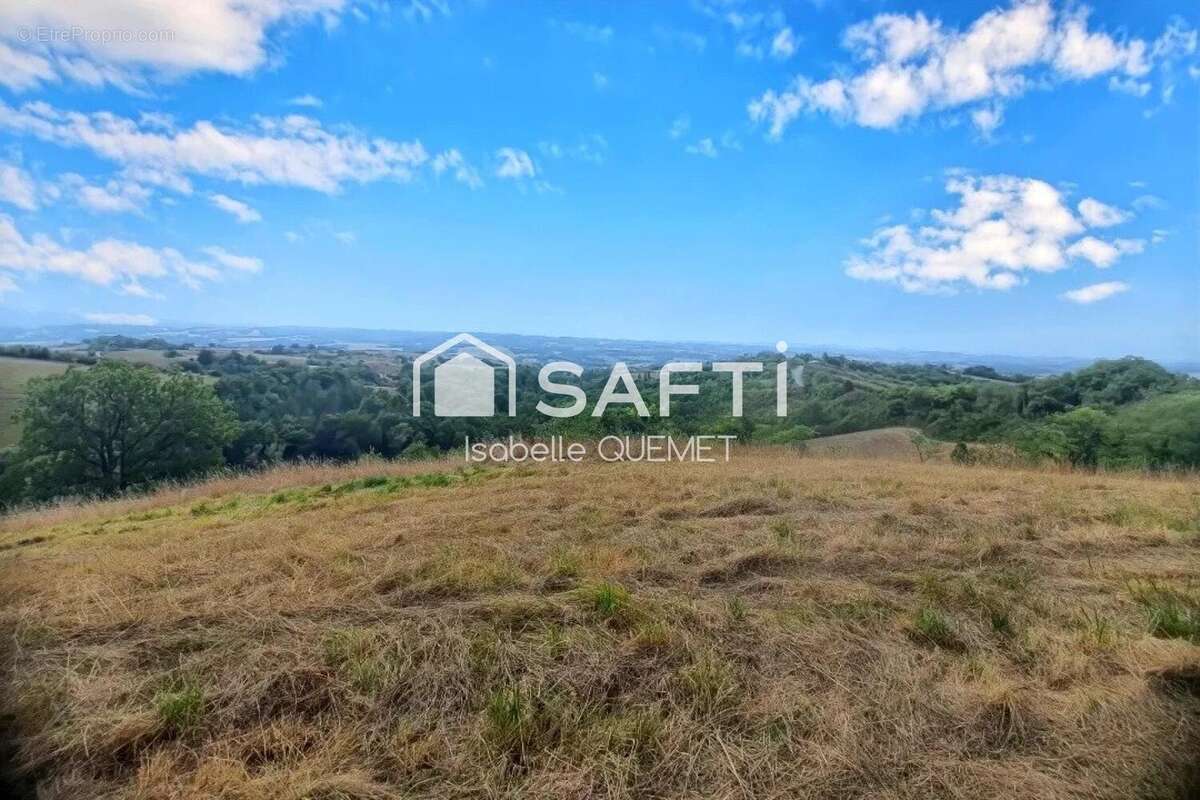 Photo 2 - Maison à MONTESQUIEU-VOLVESTRE