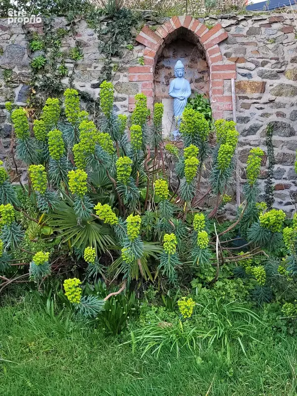 Maison Familiale en pierre sur terrain clos, et sa dépendance, à 5 min de la mer et des plages ... - photo 4