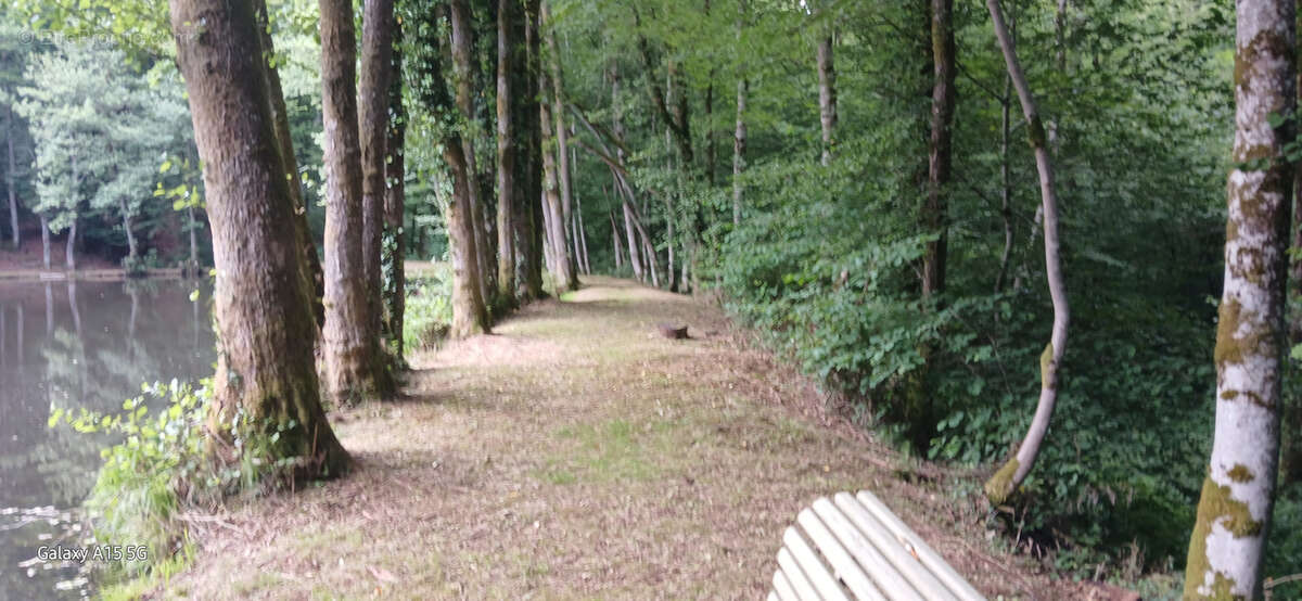 Terrain à AUXELLES-BAS