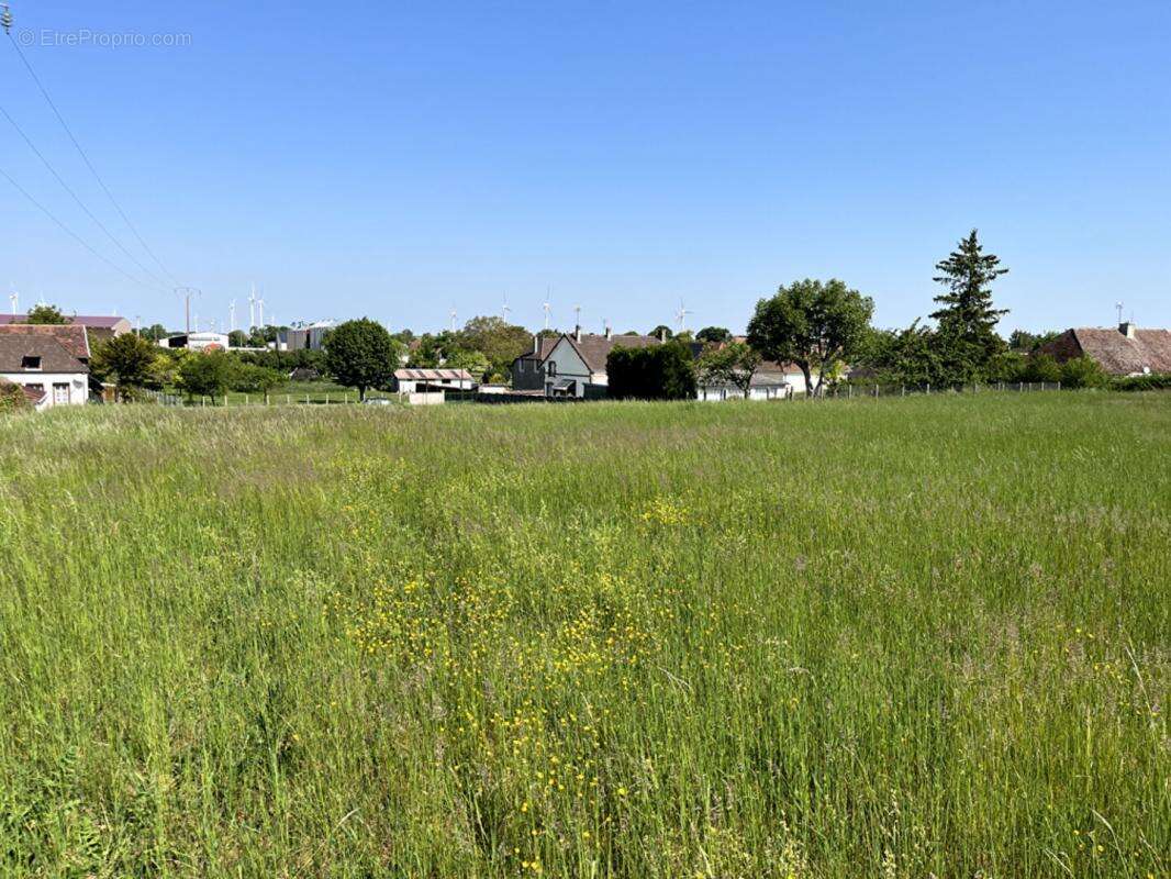 Terrain constructible pour partie, 7090 m2 - photo 3