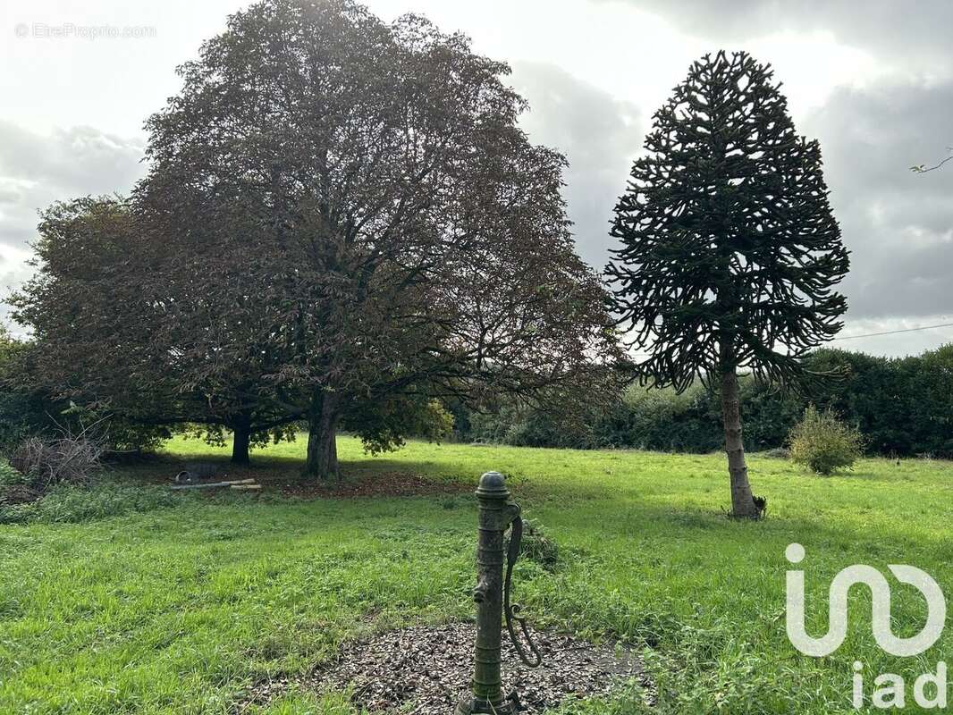 Photo 3 - Maison à TIERCE