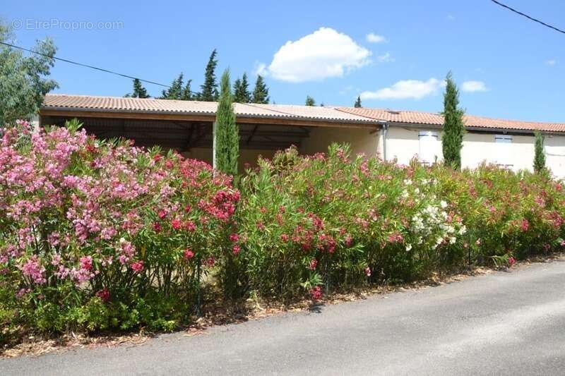 Maison à BELVEZE-DU-RAZES