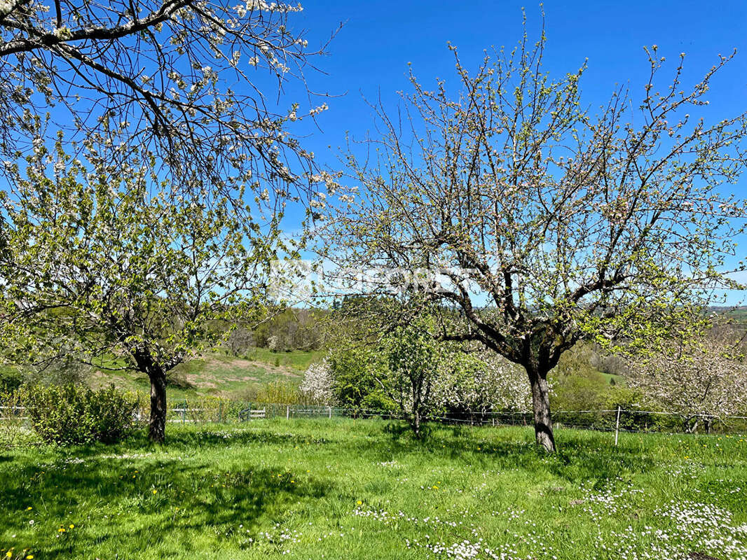 Maison à LESCURE-JAOUL