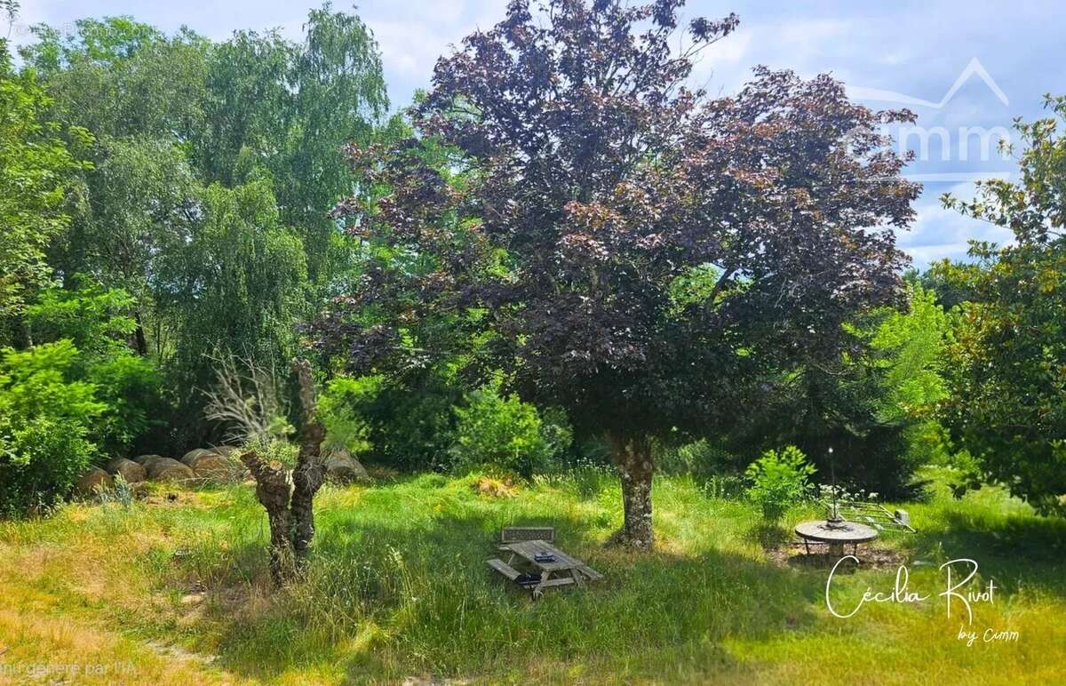 Maison de caractère avec 1,5 hectare - photo 19