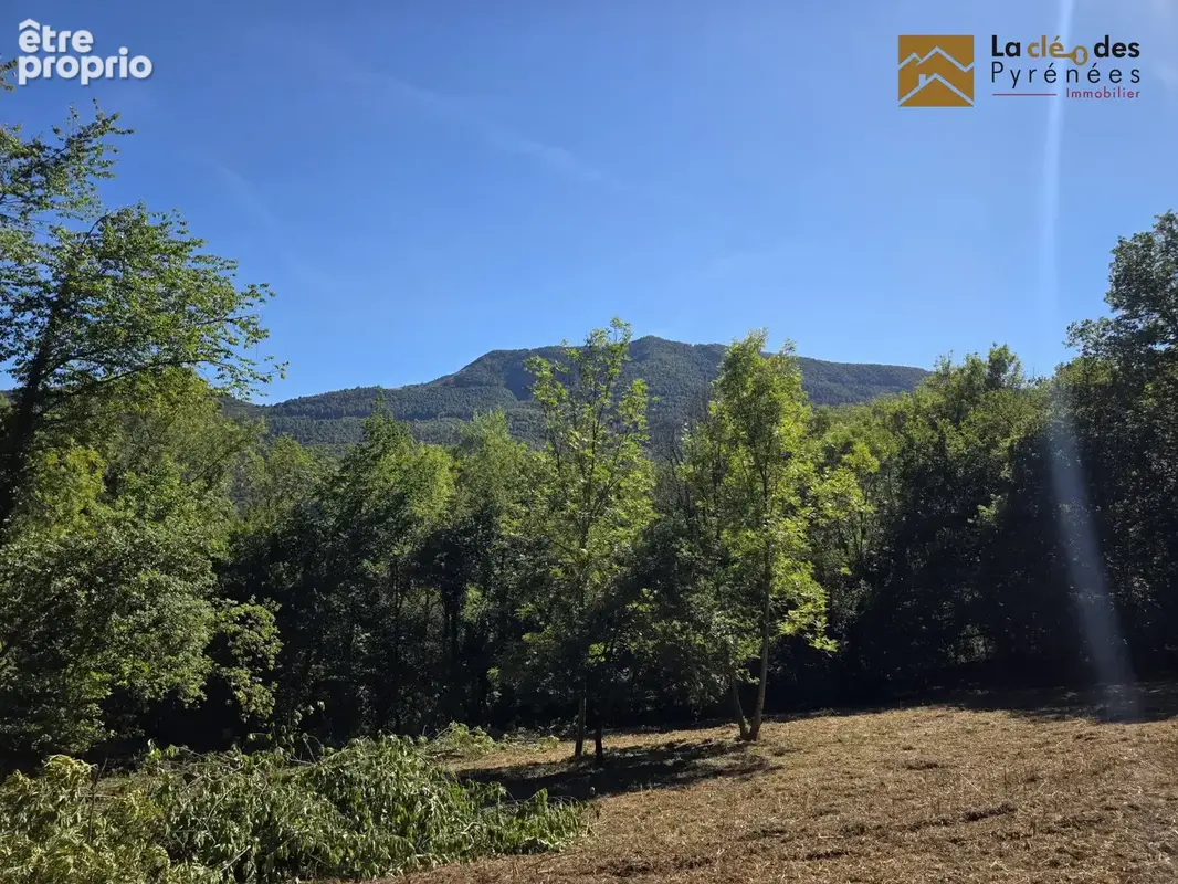 Terrain 10 152 m² à vendre à Salles (65400) - photo 6