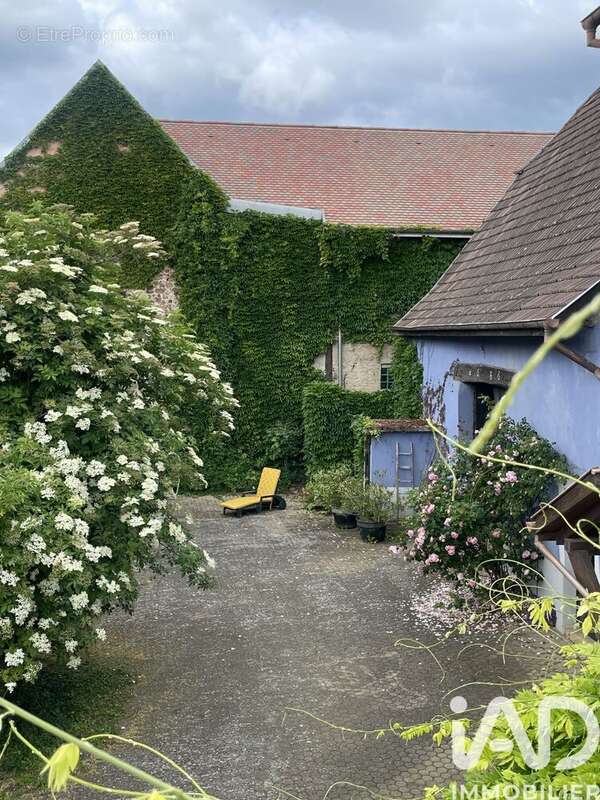 Maison 234 m² à Hattstatt  - photo 5