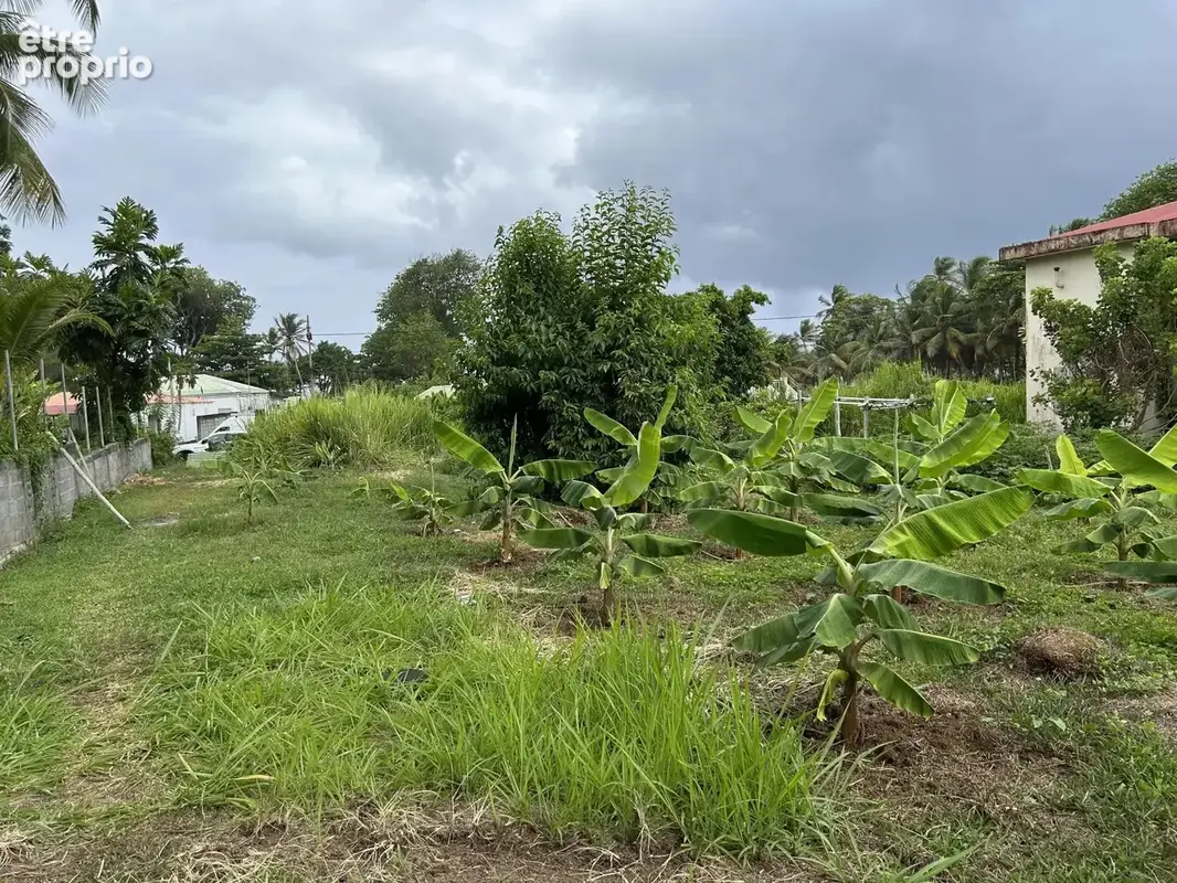 Exclusivité terrain constructible – 2 385 m² – changy, capesterre-belle-eau – guadeloupe - photo 10