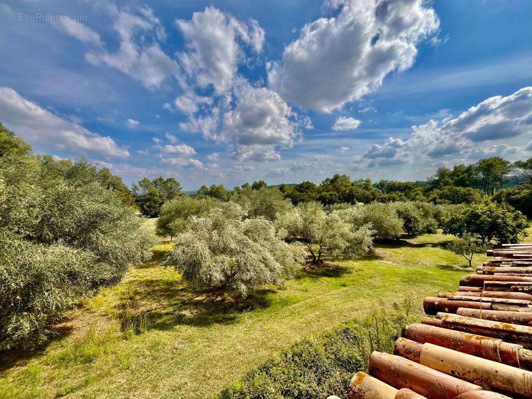 Mas sur magnifique terrain à deux pas de Uzès - photo 5