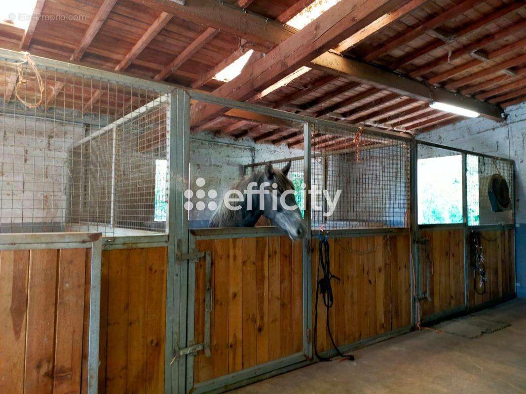 Maison 242 m² à Eyguieres  - photo 12
