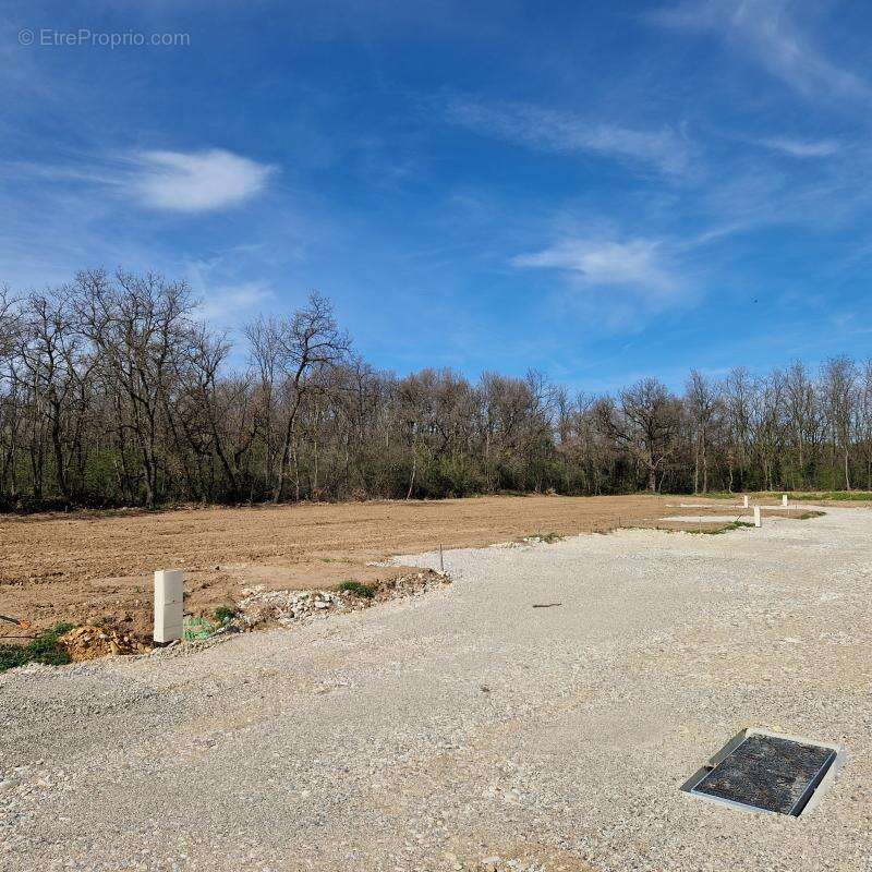 Terrain 346 m² roussillon - photo 12