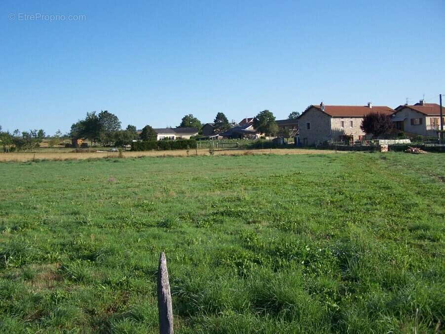 Terrain à YSSINGEAUX