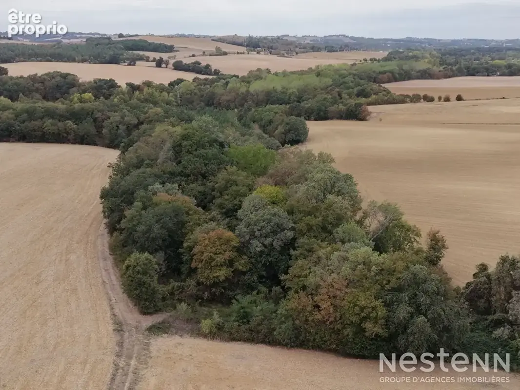 A Vendre Gasconne rénovée de 203m² avec dépendances et plus de 3 hectares à Saint-Puy - photo 21
