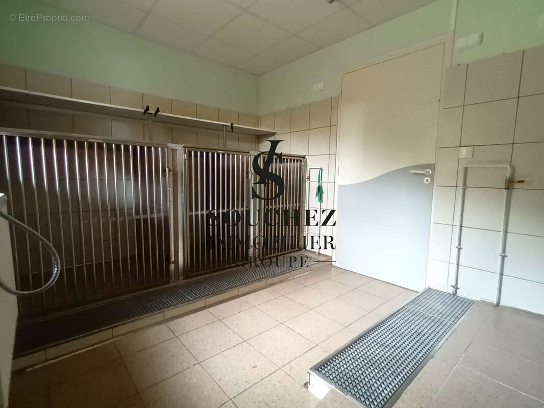 Appartement 284 m² à Rebreuve-Ranchicourt  - photo 9