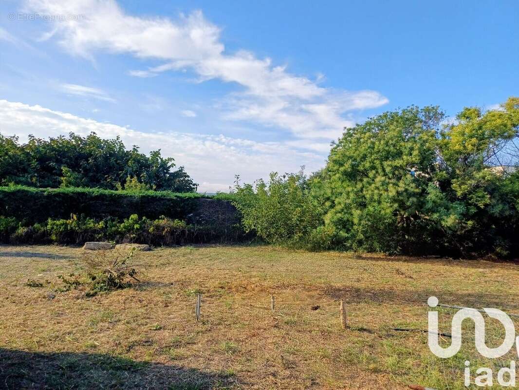 Photo 2 - Terrain à SERIGNAN