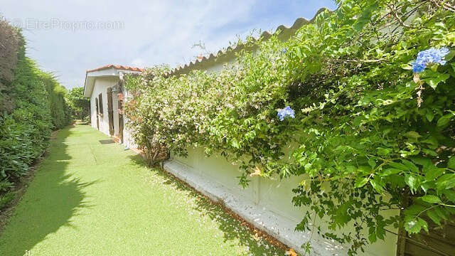 Maison à SAINTE-MARIE