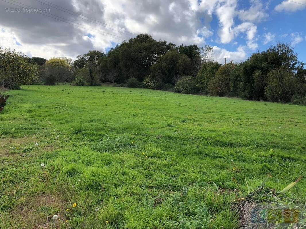 Maison à CASTELNAU-MAGNOAC