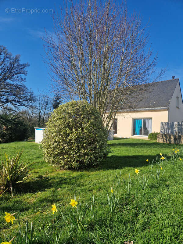 Maison à MELRAND